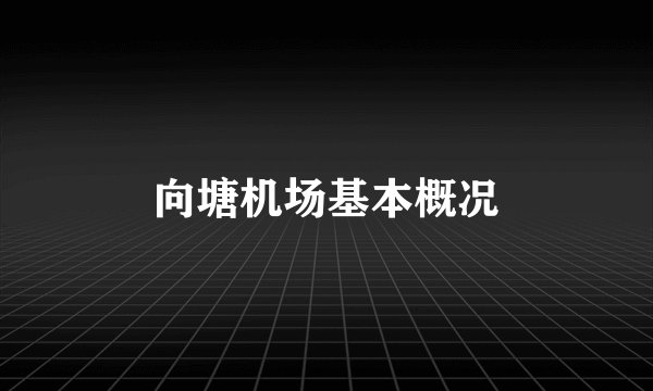 向塘机场基本概况