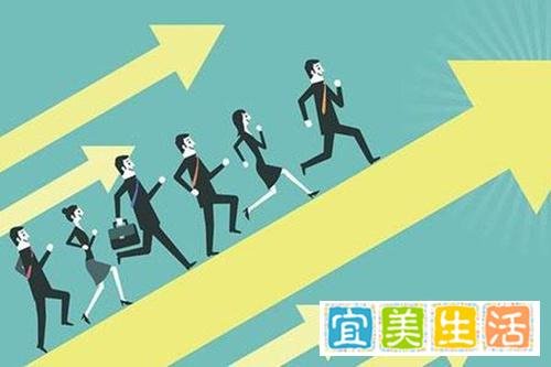 兔子与骆驼