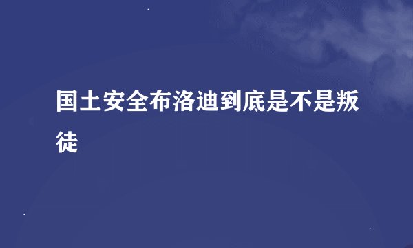 国土安全布洛迪到底是不是叛徒