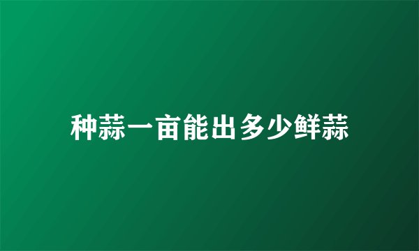 种蒜一亩能出多少鲜蒜