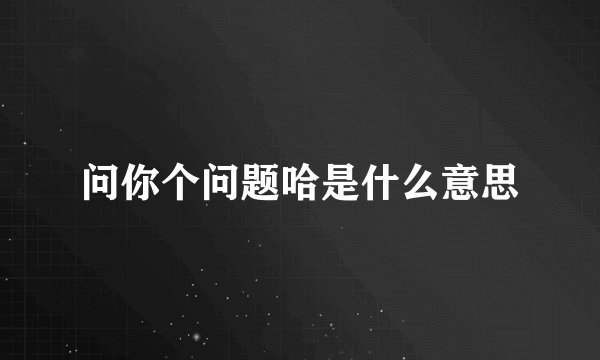 问你个问题哈是什么意思
