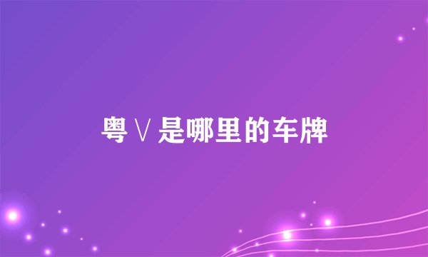 粤∨是哪里的车牌