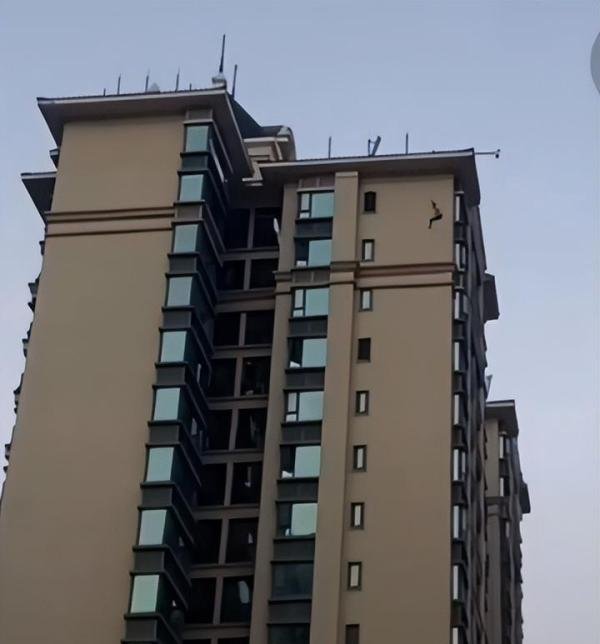 突发！男子跳楼身亡，两天前曾在楼顶撒钱