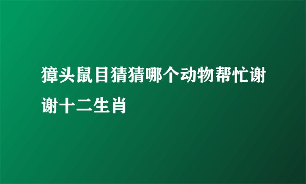 獐头鼠目猜猜哪个动物帮忙谢谢十二生肖