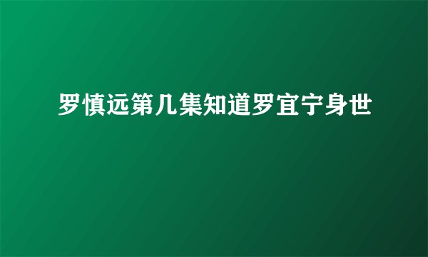 罗慎远第几集知道罗宜宁身世