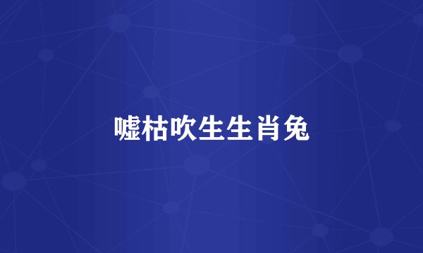 嘘枯吹生生肖兔