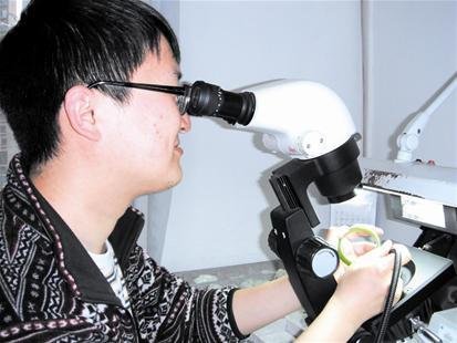 终极鉴定师的介绍