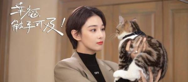 《幸福触手可及》收官!5对情侣5种结局,周放幸福,沈培培难测