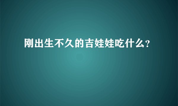 刚出生不久的吉娃娃吃什么？