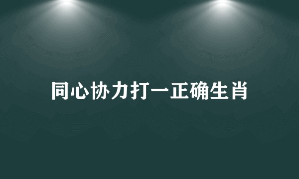 同心协力打一正确生肖