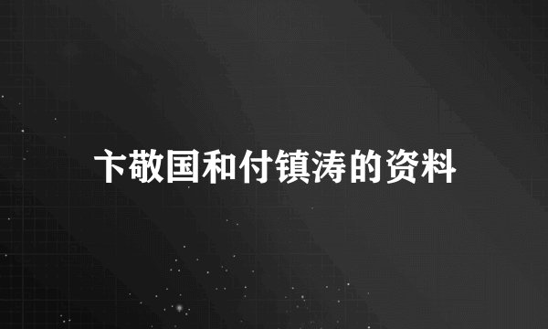 卞敬国和付镇涛的资料