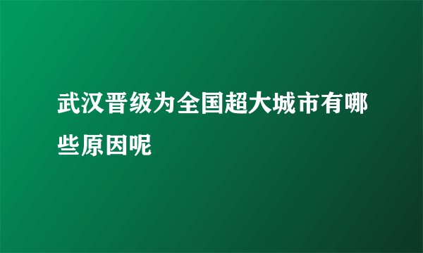 武汉晋级为全国超大城市有哪些原因呢
