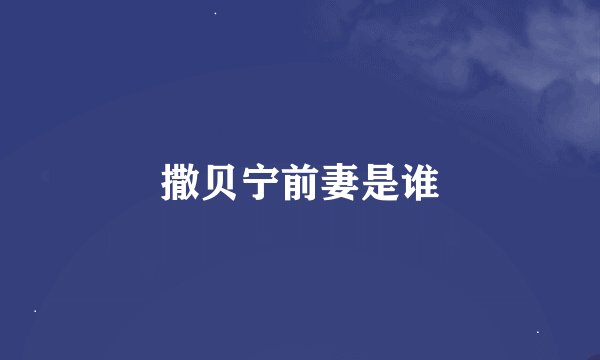 撒贝宁前妻是谁