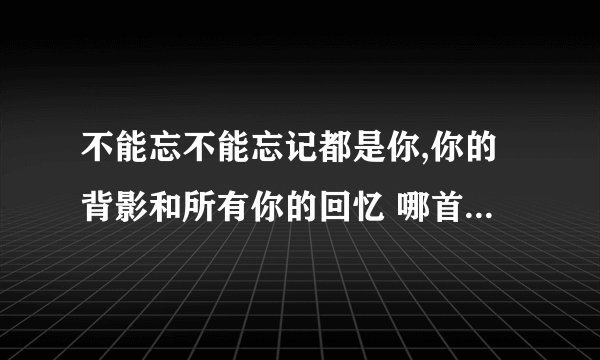 不能忘不能忘记都是你,你的背影和所有你的回忆 哪首歌的歌词