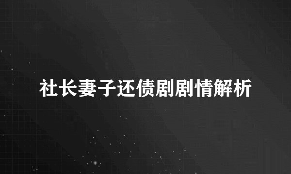 社长妻子还债剧剧情解析