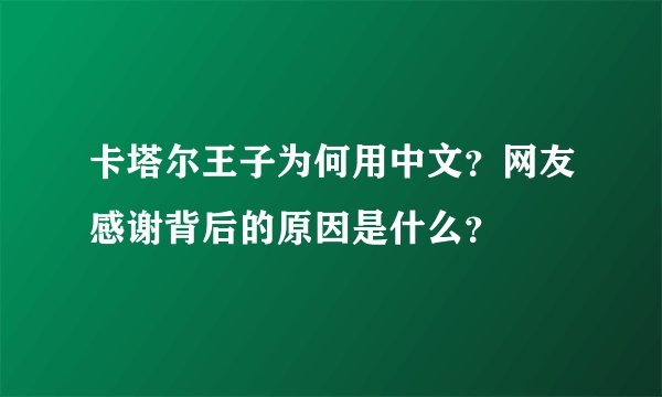 卡塔尔王子为何用中文？网友感谢背后的原因是什么？