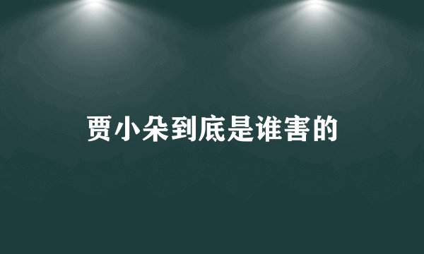 贾小朵到底是谁害的