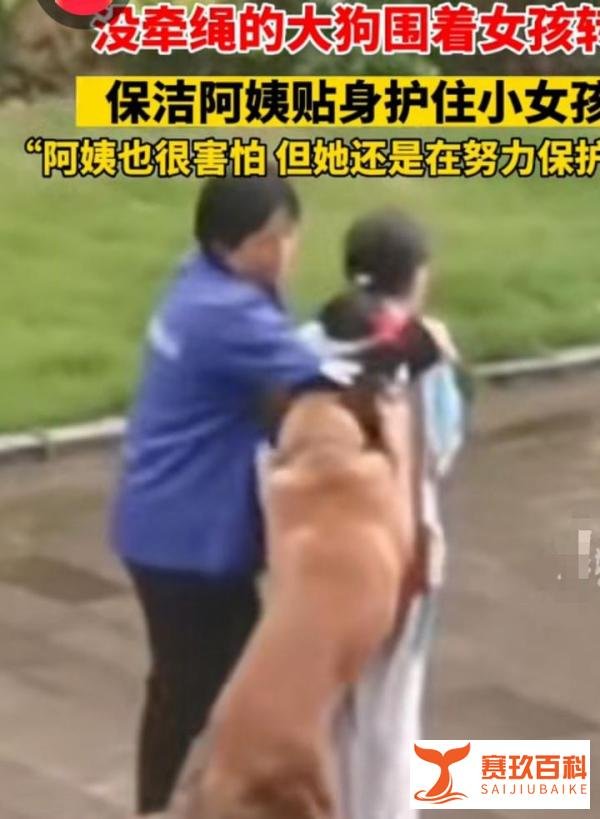 大狗尾随女孩 保洁阿姨保护周旋1小时