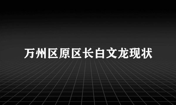 万州区原区长白文龙现状