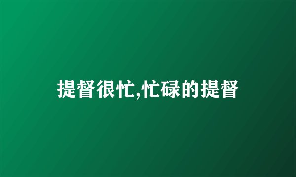 提督很忙,忙碌的提督