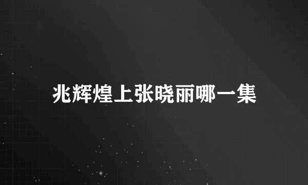 兆辉煌上张晓丽哪一集