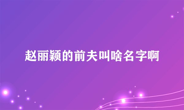 赵丽颖的前夫叫啥名字啊