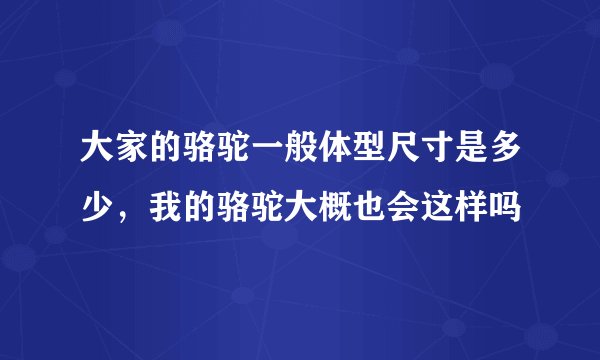 大家的骆驼一般体型尺寸是多少，我的骆驼大概也会这样吗