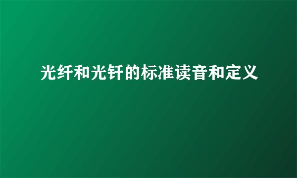 光纤和光钎的标准读音和定义