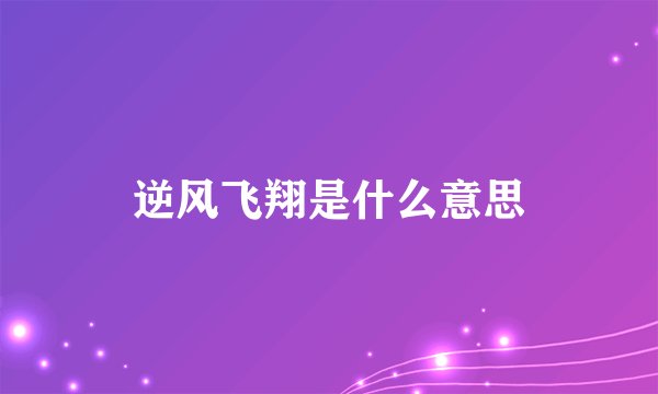 逆风飞翔是什么意思