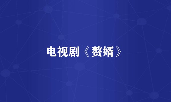 电视剧《赘婿》