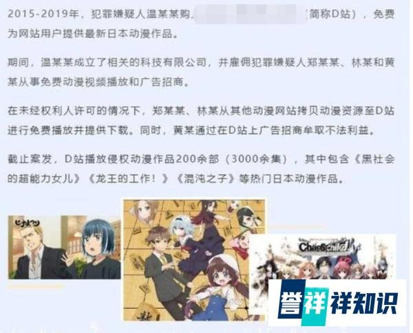D 站创始人及员工，被批捕！这和 B站有啥关系？