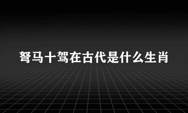 弩马十驾在古代是什么生肖
