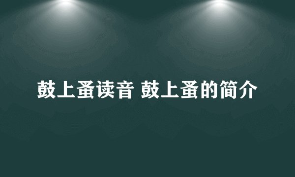 鼓上蚤读音 鼓上蚤的简介