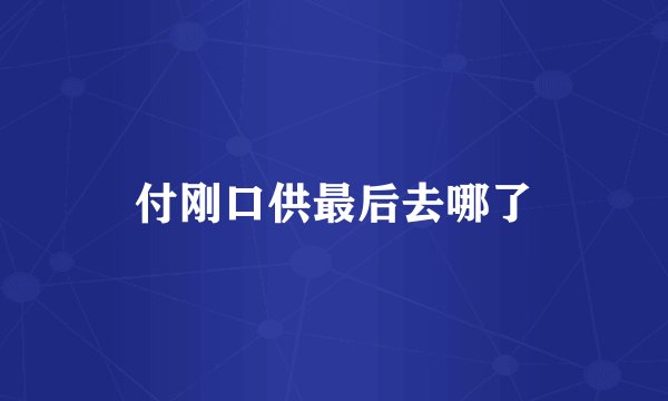 付刚口供最后去哪了