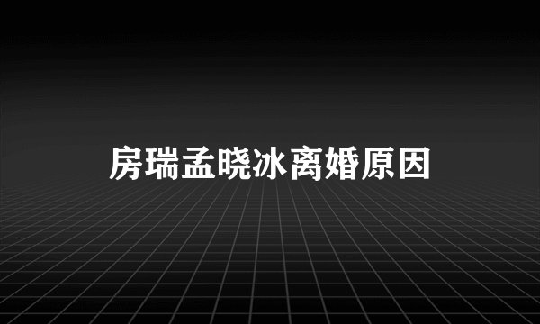 房瑞孟晓冰离婚原因