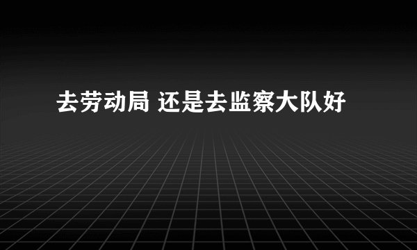 去劳动局 还是去监察大队好