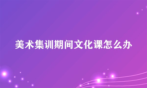 美术集训期间文化课怎么办