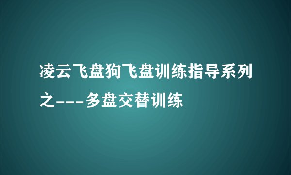 凌云飞盘狗飞盘训练指导系列之---多盘交替训练