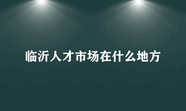 临沂人才市场在什么地方
