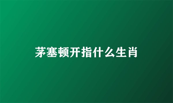 茅塞顿开指什么生肖