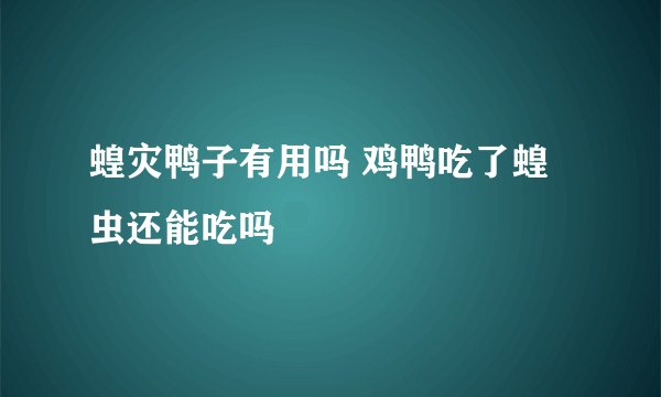 蝗灾鸭子有用吗 鸡鸭吃了蝗虫还能吃吗