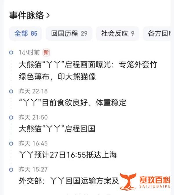 大熊猫丫丫今天启程回国，二十年旅美经历了什么？