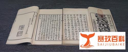 什么是电子家谱?