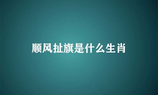 顺风扯旗是什么生肖