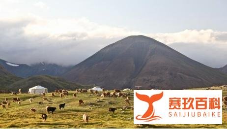 蒙古国没有领海，但是也有海军编制，有3艘船以及7名海军