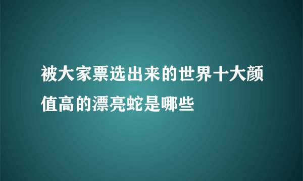 被大家票选出来的世界十大颜值高的漂亮蛇是哪些