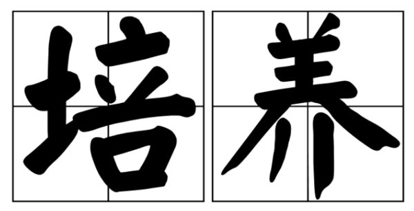 什么是培养，什么是培育？