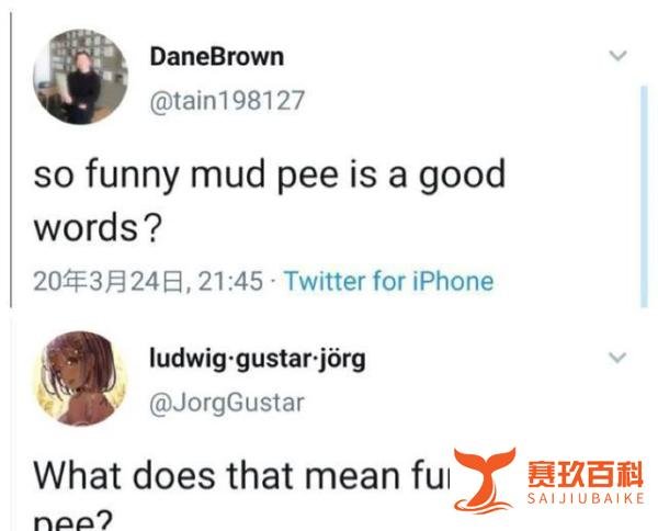 推特上爆火的“Funny mud pee”一词居然把老外也怼懵了，还被收入牛津词典？
