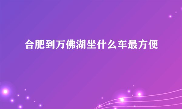 合肥到万佛湖坐什么车最方便