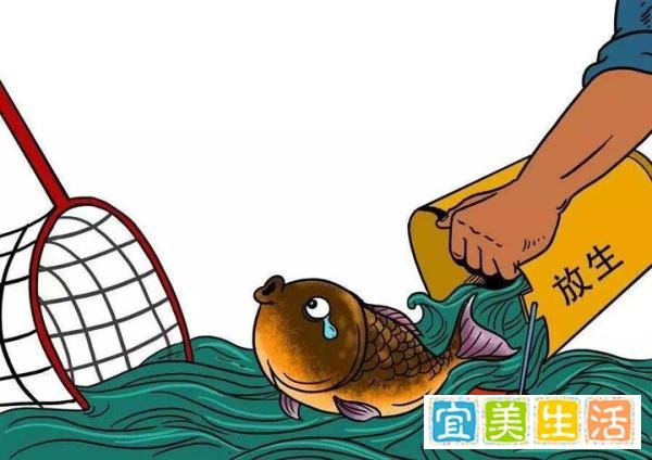 鄱阳湖干枯,20人自费转运上万斤,真正的慈善不需要仪式